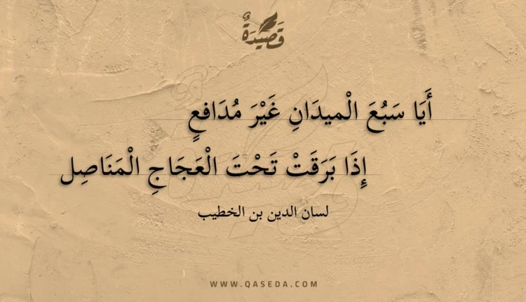 قصيدة أيا سبع الميدان غير مدافع