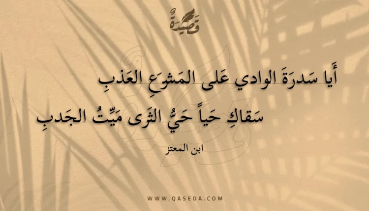 قصيدة أيا سدرة الوادي على المشرع العذب