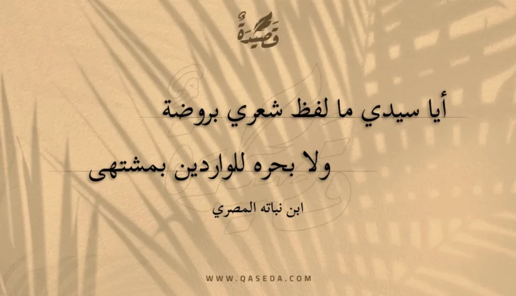 قصيدة أيا سيدي ما لفظ شعري بروضة