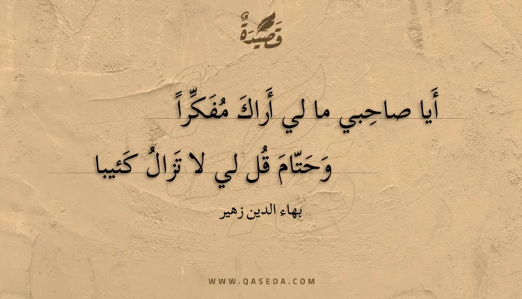 قصيدة أيا صاحبي ما لي أراك مفكرا