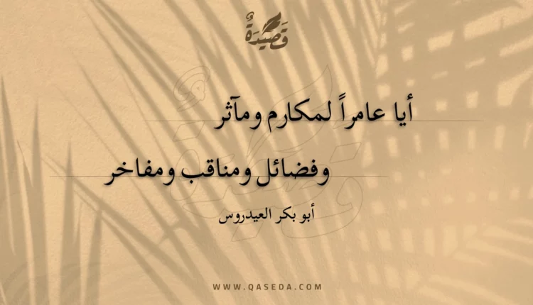 قصيدة أيا عامرا لمكارم ومآثر