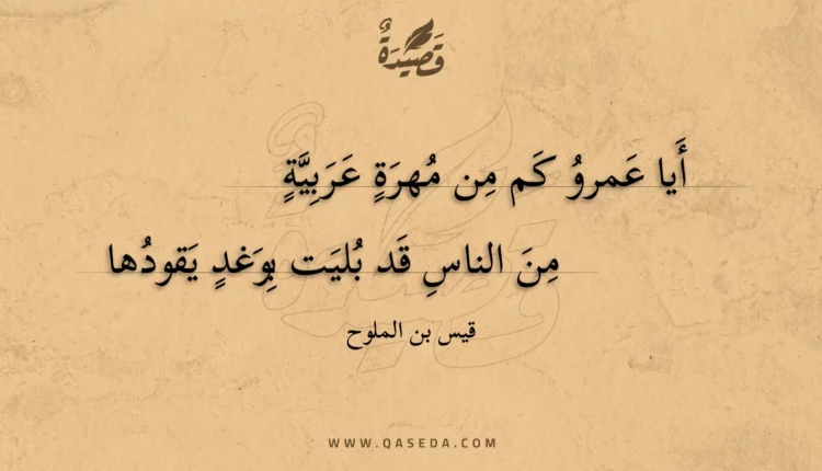 قصيدة أيا عمرو كم من مهرة عربية