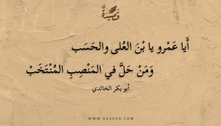 قصيدة أيا عمرو يا بن العلى والحسب