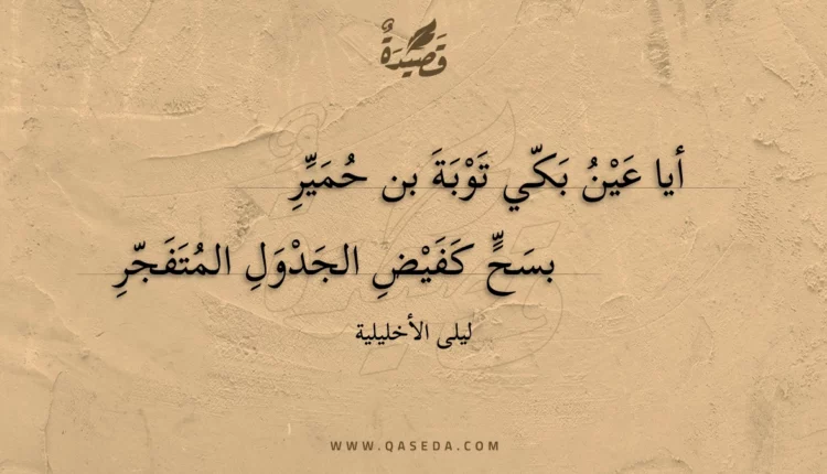 قصيدة أيا عين بكي توبة بن حمير