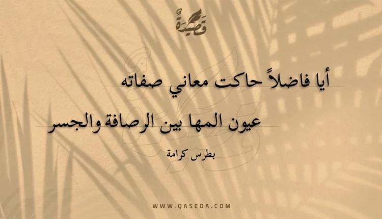قصيدة أيا فاضلا حاكت معاني صفاته