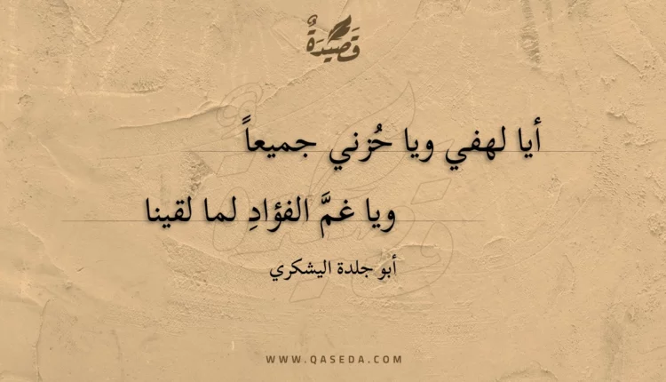 قصيدة أيا لهفي ويا حزني جميعا