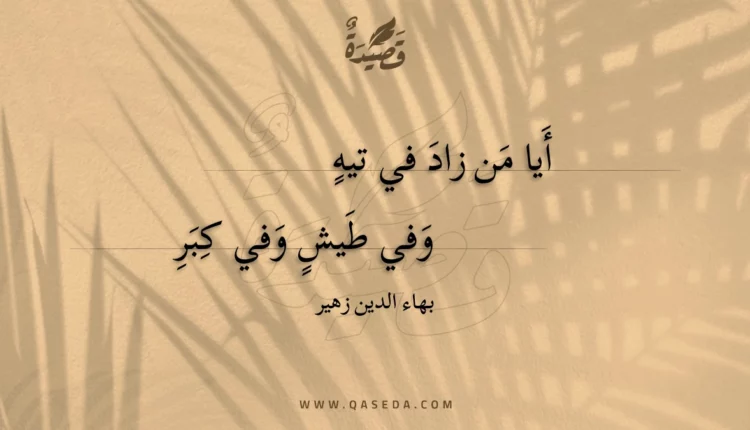 قصيدة أيا من زاد في تيه