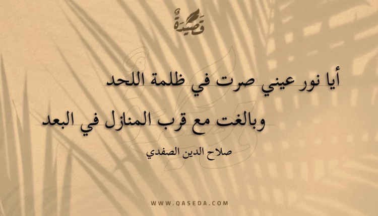 قصيدة أيا نور عيني صرت في ظلمة اللحد