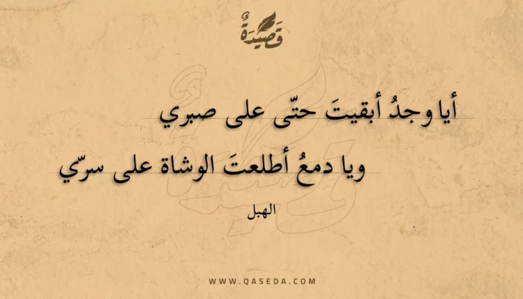 قصيدة أيا وجد أبقيت حتى على صبري