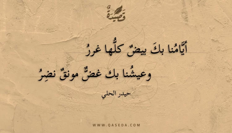 قصيدة أيامنا بك بيض كلها غرر