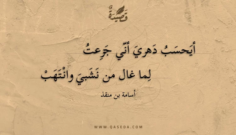 قصيدة أيحسب دهري أني جزعت