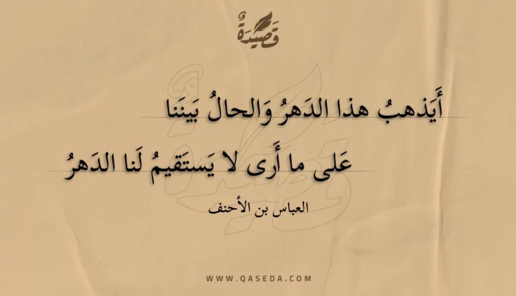 قصيدة أيذهب هذا الدهر والحال بيننا