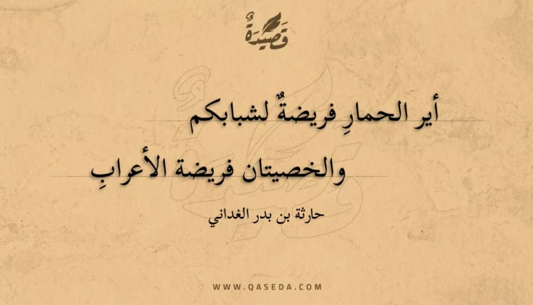قصيدة أير الحمار فريضة لشبابكم