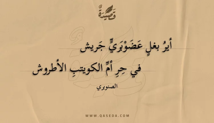 قصيدة أير بغل عضوبري جريش