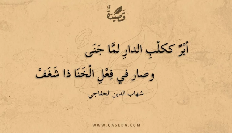 قصيدة أير ككلب الدار لما جنى