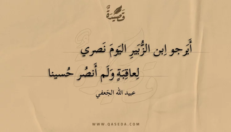 قصيدة أيرجو ابن الزبير اليوم نصري
