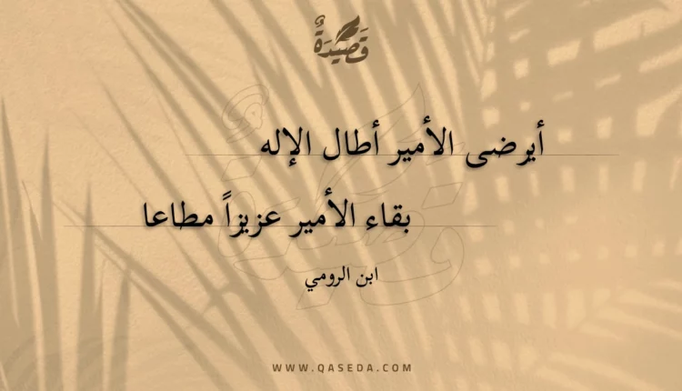 قصيدة أيرضى الأمير أطال الإله
