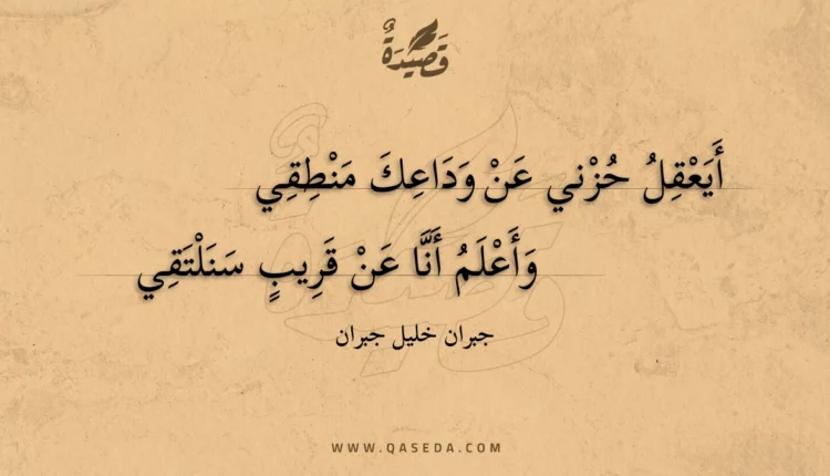 قصيدة أيعقل حزني عن وداعك منطقي