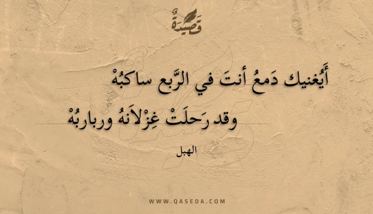 قصيدة أيغنيك دمع أنت في الربع ساكبه