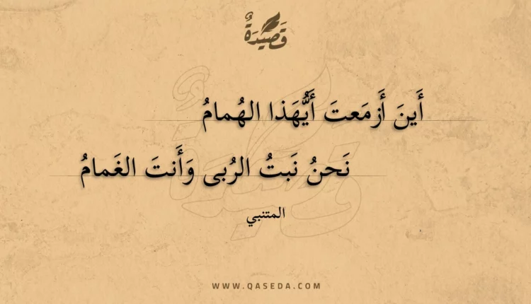 قصيدة أين أزمعت أيهذا الهمام