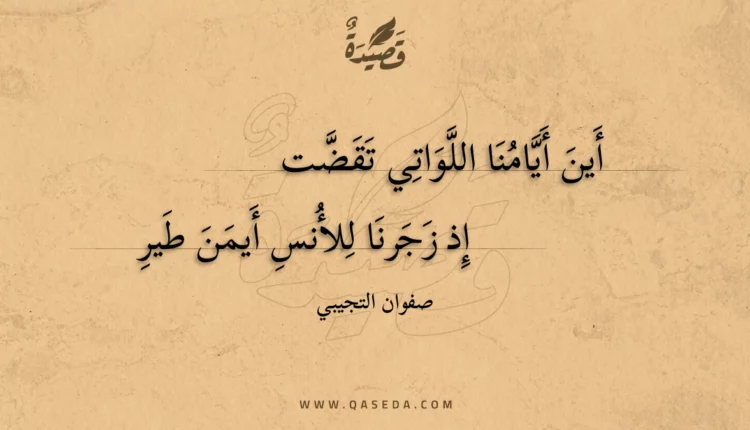 قصيدة أين أيامنا اللواتي تقضت
