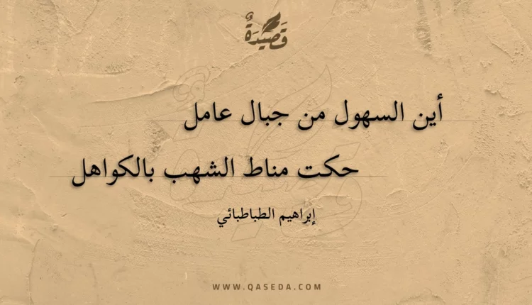قصيدة أين السهول من جبال عامل