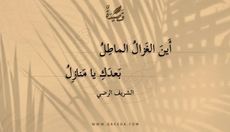 قصيدة أين الغزال الماطل
