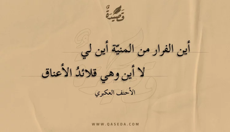 قصيدة أين الفرار من المنية أين لي