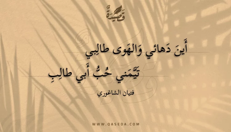 قصيدة أين دهائي والهوى طالبي