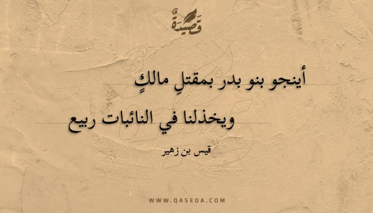 قصيدة أينجو بنو بدر بمقتل مالك