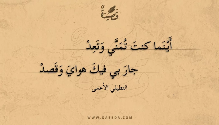 قصيدة أينما كنت تمني وتعد