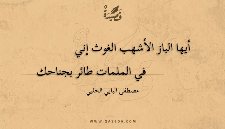 قصيدة أيها الباز الأشهب الغوث إني
