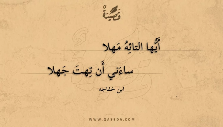 قصيدة أيها التائه مهلا