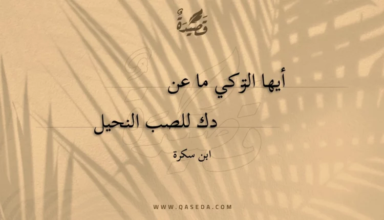 قصيدة أيها التركي ما عندك