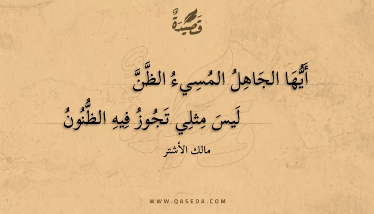 قصيدة أيها الجاهل المسيء الظن