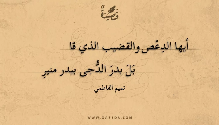 قصيدة أيها الدعص والقضيب الذي قابل