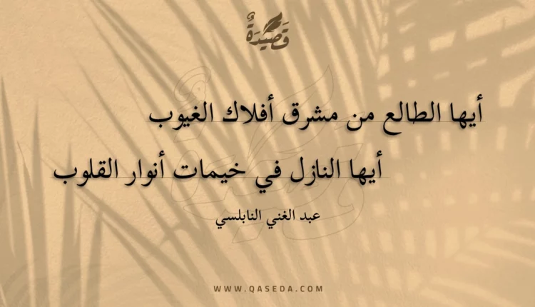 قصيدة أيها الطالع من مشرق أفلاك الغيوب