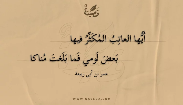 قصيدة أيها العاتب المكثر فيها