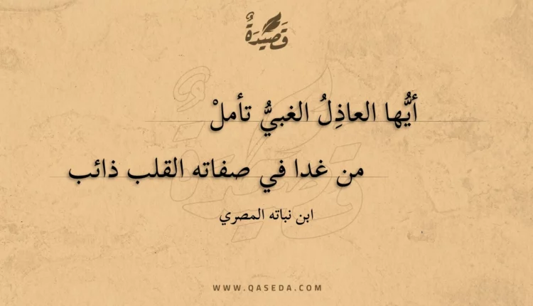 قصيدة أيها العاذل الغبي تأمل