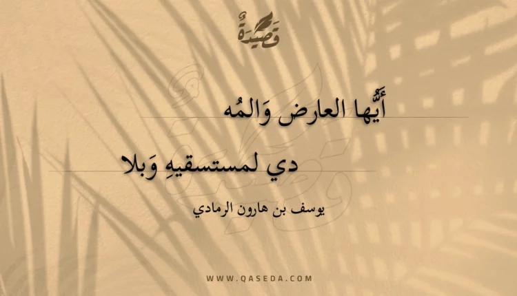 قصيدة أيها العارض والمهدي