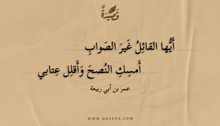 قصيدة أيها القائل غير الصواب
