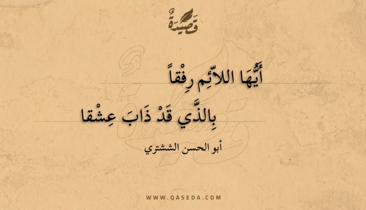 قصيدة أيها اللائم رفقا