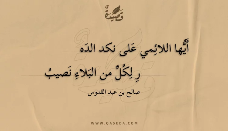 قصيدة أيها اللائمي على نكد الدهر