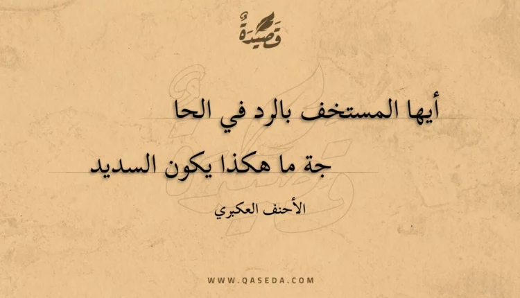 قصيدة أيها المستخف بالرد في الحاجة
