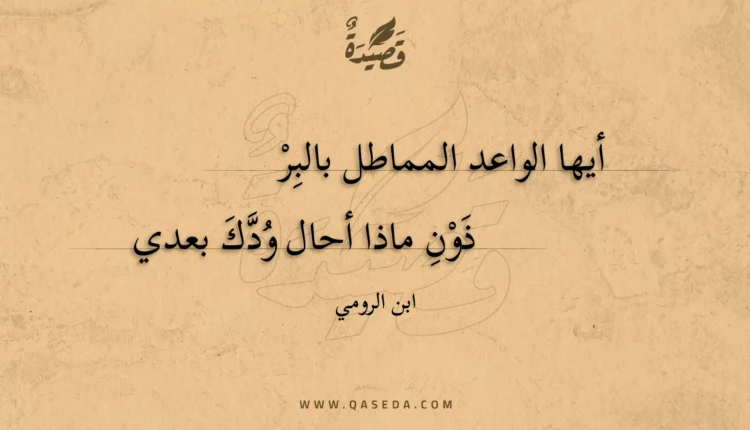 قصيدة أيها الواعد المماطل بالبر