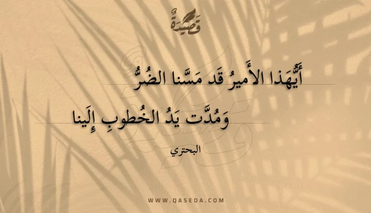 قصيدة أيهذا الأمير قد مسنا الضر