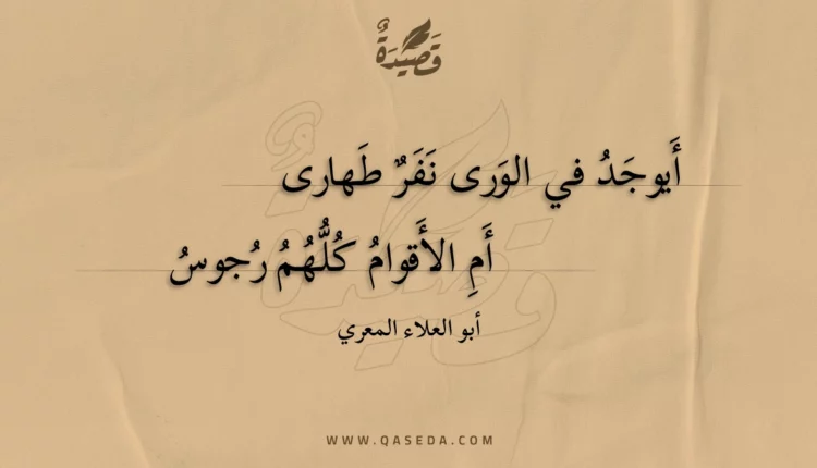 قصيدة أيوجد في الورى نفر طهارى