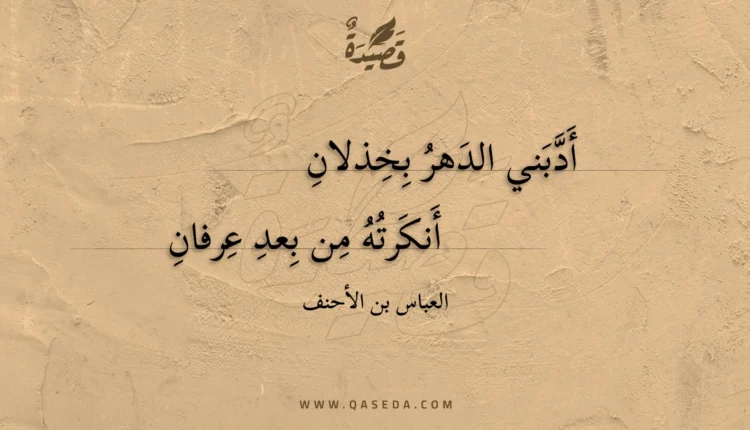 قصيدة أَدَّبَني الدَهرُ بِخِذلانِ