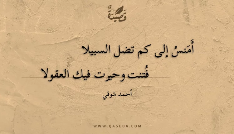 قصيدة أَمنس إلى كم تضل السبيلا