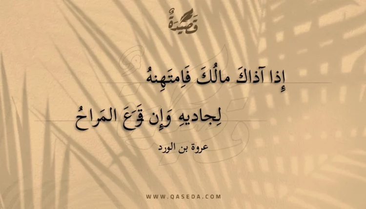 قصيدة إذا آذاك مالك فامتهنه